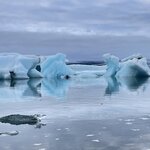 Photo taken by Janice R