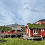 Photo taken by Susan K