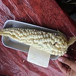 Photo taken by Jessica H