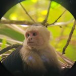 Photo taken by Mark S