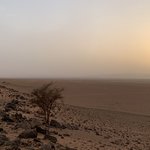 Photo taken by Livia S