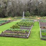 Photo taken by Tom B