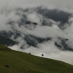 Photo taken by David H