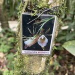 Photo taken by Blair H