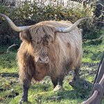 Photo taken by David L