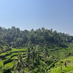 Photo taken by Brittany Leslie Lynn S