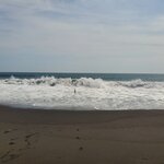 Photo taken by Camille S