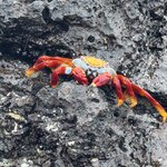 Photo taken by Sharon J