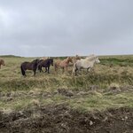 Photo taken by Joe D