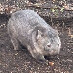 Photo taken by Judith C