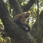 Photo taken by Kevin S