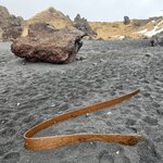 Photo taken by Jessica A