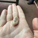 Photo taken by Dana F