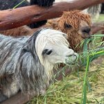 Photo taken by Helen M