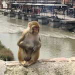 Photo taken by Gerald S