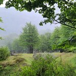 Photo taken by Bao T