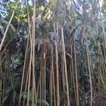 Photo taken by Maggie W