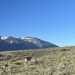 Photo taken by Manon G