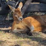 Photo taken by Maggie W