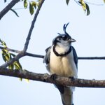 Photo taken by Wilbert A