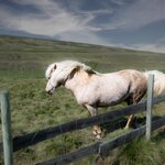 Photo taken by Kim C