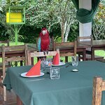 Photo taken by Mick K