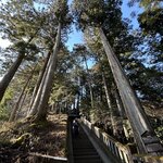 Photo taken by Khosiyat M