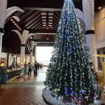 Photo taken by Kelsey S