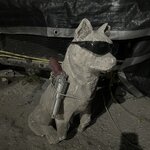 Photo taken by Carter G