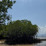 Photo taken by Nicoline v