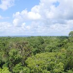 Photo taken by Mark B