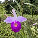 Photo taken by Victoria C