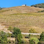 Photo taken by Wayne Z