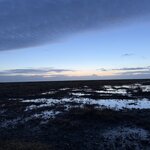 Photo taken by Laura O