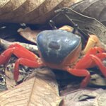 Photo taken by Mary D