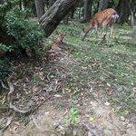 Photo taken by Jim B