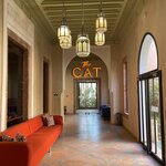 Photo taken by Mohammad Y