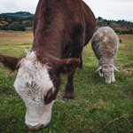 Photo taken by timothy m