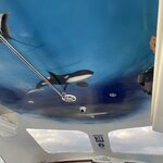 Photo taken by Jason C