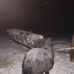 Photo taken by Moses K