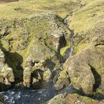 Photo taken by Janice R