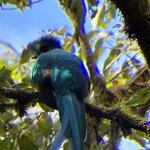 Photo taken by Ora Y