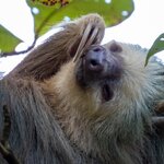 Photo taken by Wilbert A