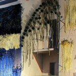 Photo taken by Bill F