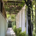 Photo taken by Jeffrey S