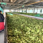 Photo taken by Anisha L