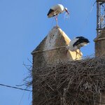 Photo taken by Shelley H