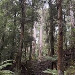 Photo taken by William Scott S
