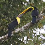 Photo taken by Joyce C