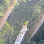 Photo taken by Nicole S